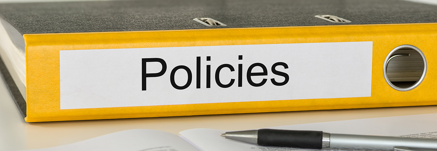 policies-procedures-update-government-entity-rea-cpa